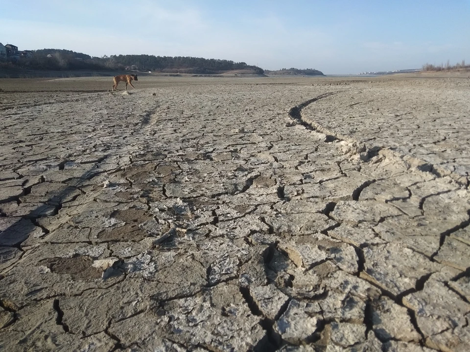 Симферопольское водохранилище в конце 2019 выглядело так. В 2020-м ситуация не слишком улучшилась