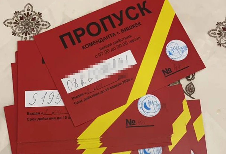 Пропуска на передвижение в Бишкеке выдают только ограниченному кругу.