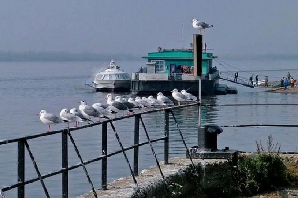 Карта богородское ульчский район хабаровский край