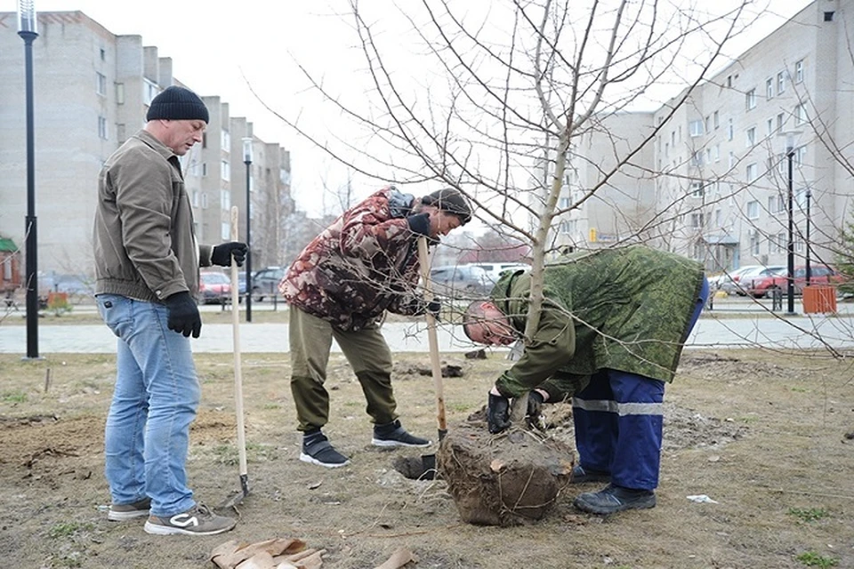 В Мегионе приступили к озеленению пространства. Фото администрации Мегиона.