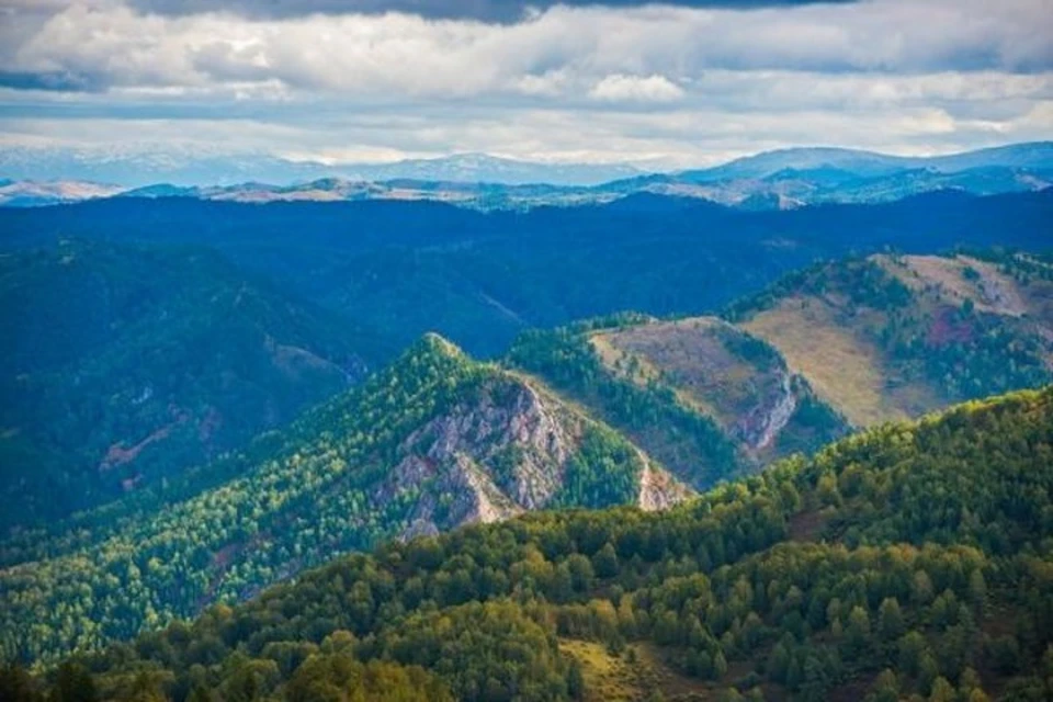 Ру алтайский край. Курортный сбор Алтайский край. Курортные сборы Алтайский край. Алтайский край с большим расширением. Рильно Алтайский край.