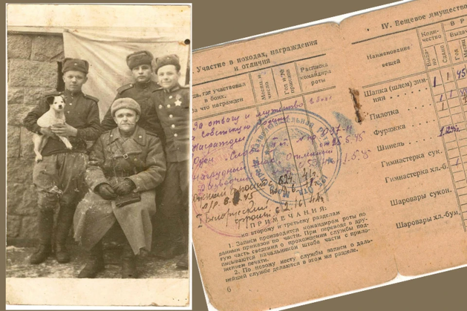Конкурс "Ленинградская память" - уникальная возможность рассказать о своих близких-фронтовиках. Фото предоставлено пресс-службой администрации Ленинградской области.