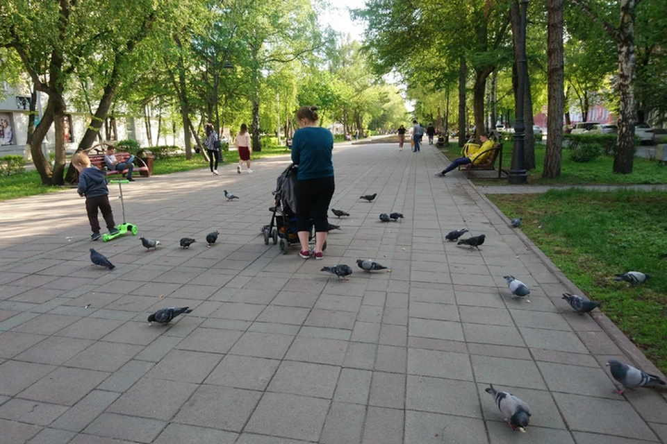 Гулять в парках и заниматься спортом разрешили кузбассовцам