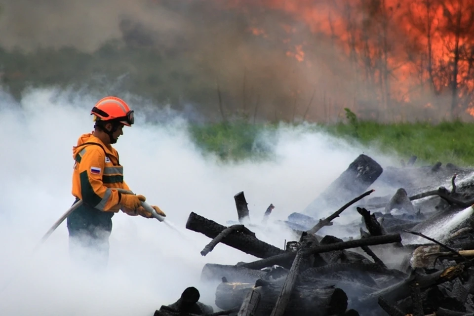 Почти 100 человек погибли на пожарах в Иркутской области в 2020 году