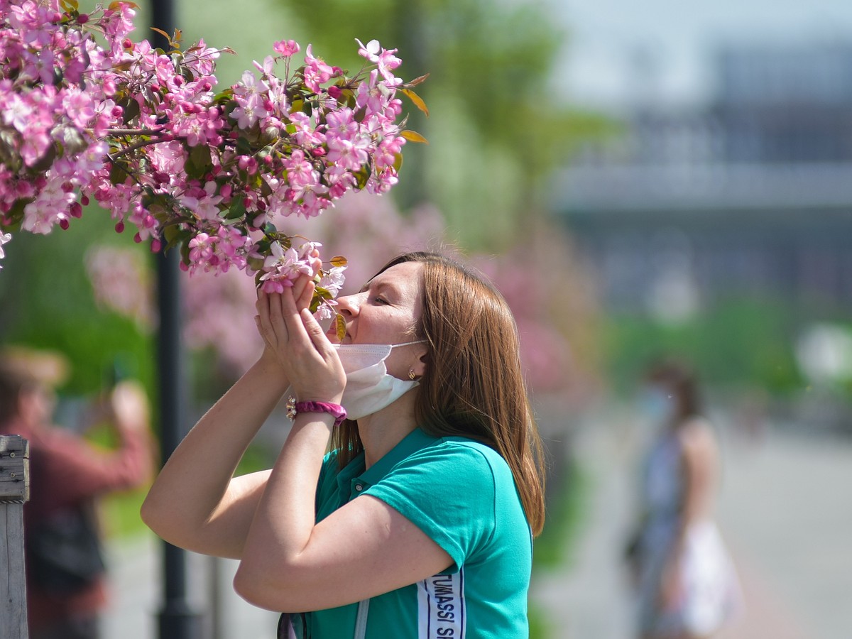 Первый день, когда стало можно: в Новосибирске открыли парки, но не все -  KP.RU