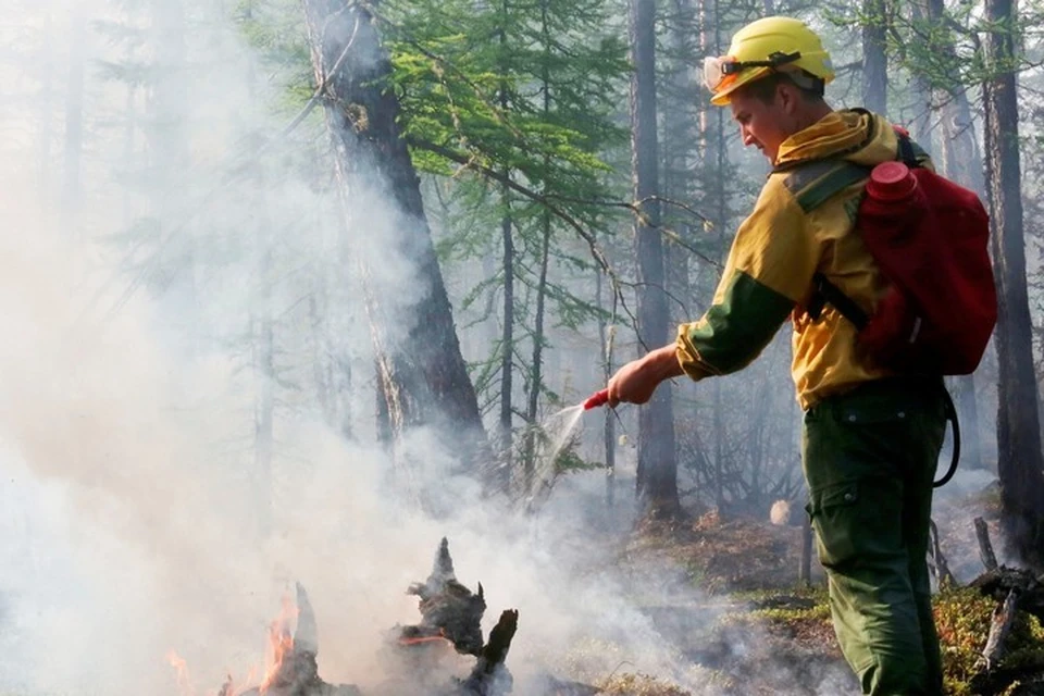 В Туве из-за окурка сигареты сгорело леса на 100 миллионов рублей. Фото: ГУ МЧС России по Республике Тыва