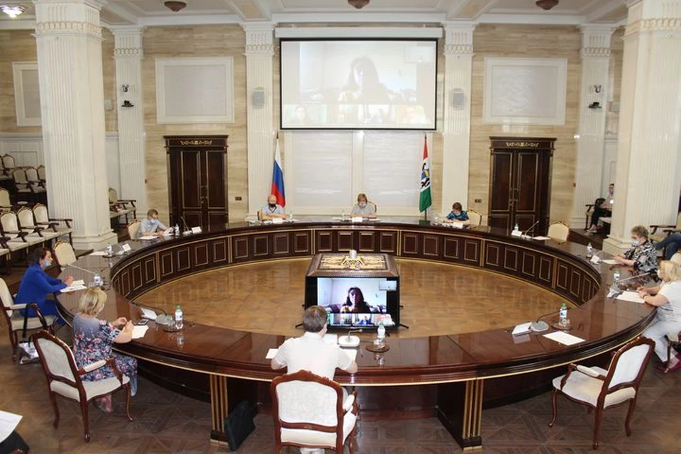 Общественная палата обсудлила меры социальных поддержек действующих в Новосибирской области