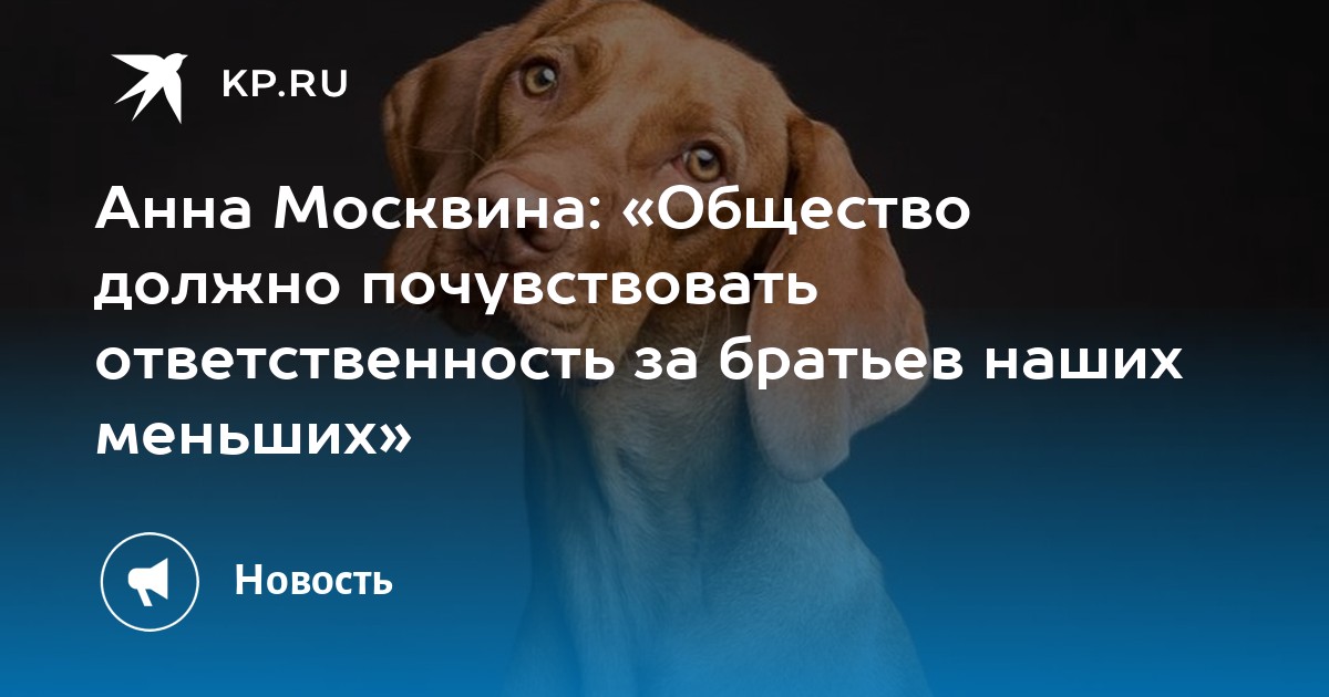 Закон об ответственности за животных