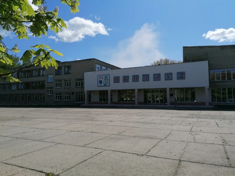 Новомичуринская средняя общеобразовательная школа №2 Пронского района Рязанской области