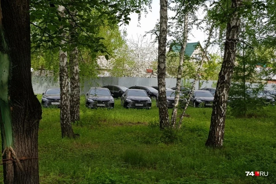 Иномарки стояли в лесу. Фото: 74.ru