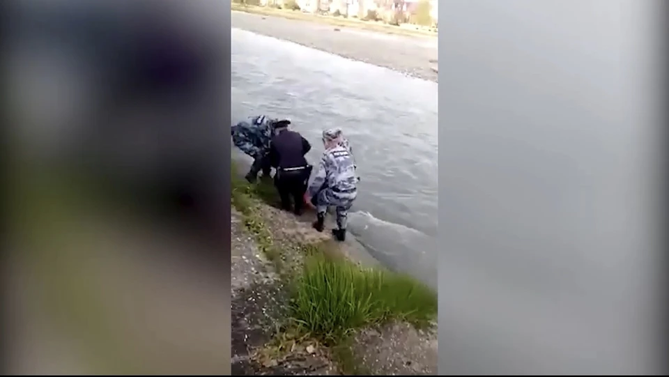 Общими усилиями вытащили девушку из воды. Скрин из видео пресс-службы ГУ Росгвардии по Краснодарскому краю.