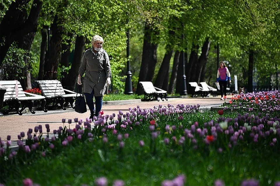 Число инфицированных коронавирусом в Москве за сутки возросло на 2560 человек