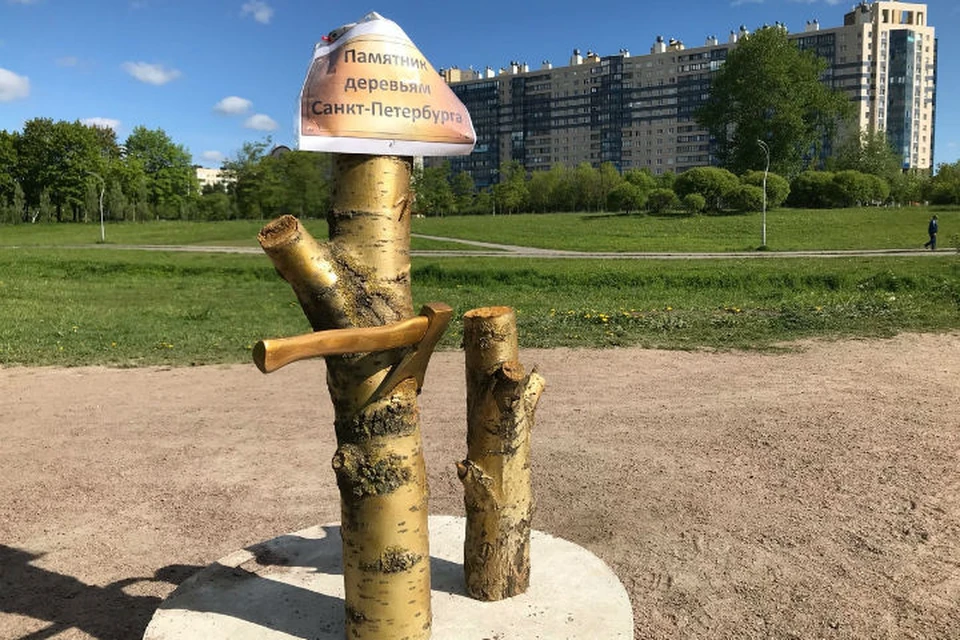 В Петербурге появился памятник деревьям в Муринском парке