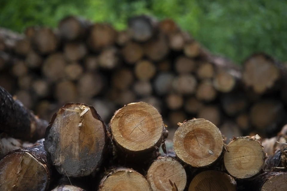 Высокой стоимостью дров занялись власти ЕАО