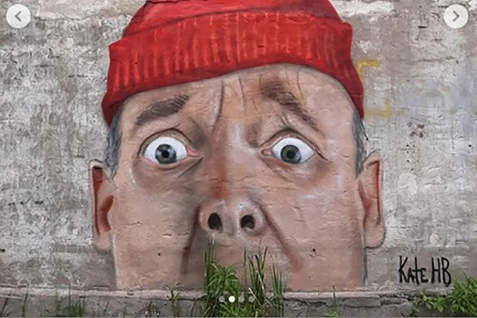 Голова с усами из травы появилась на стене заброшенного полигона Фото: instagram.com/kate._.hb