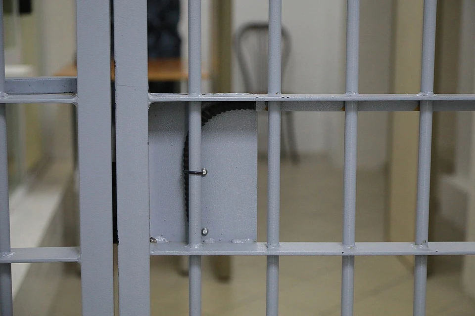 Депутата горсовета Красноярска взяли под арест на два месяца.