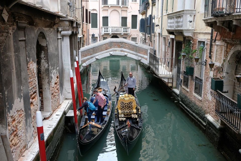 Немецких туристов выгнали из Венеции за купание Гранд-канале