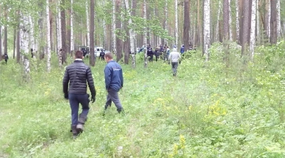 Девочка пропала вечером 8 июня в поселке Лемзер Березниковского городского округа