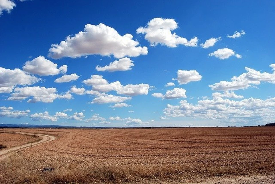 Власти рассказали об итогах кадастровой оценки смоленских земель. Фото: pixabay.com.