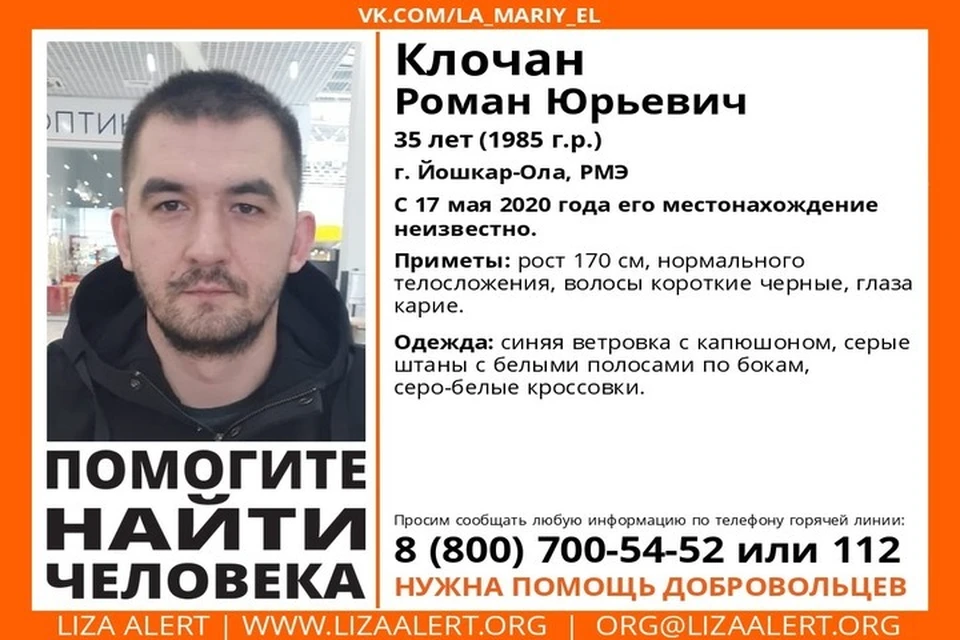 Фото: ПСО "Лиза Алерт"