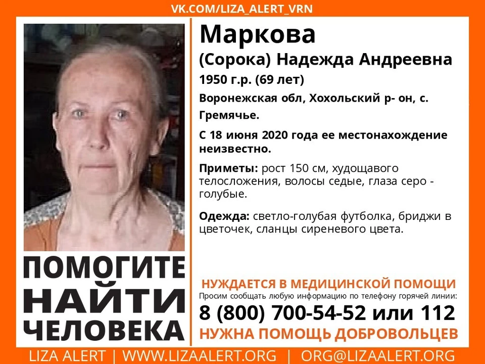 фото со странрцы сообщества "Поисковый отряд "Лиза Алерт" Воронежа" в ВК