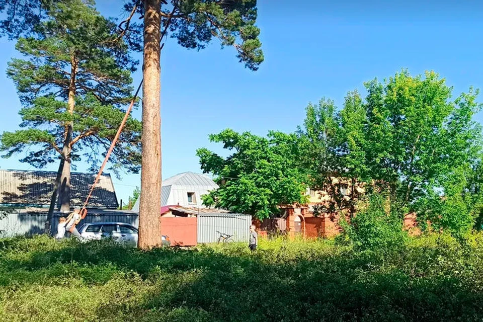 Лес под застройку