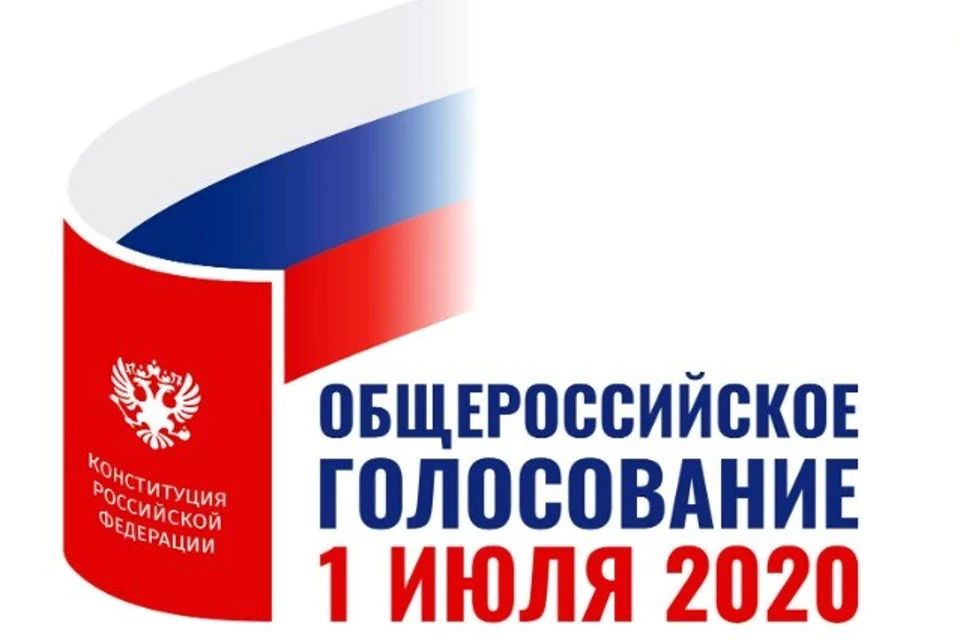 Главный день голосования назначен на 1 июля. Фото: ЦИК РФ