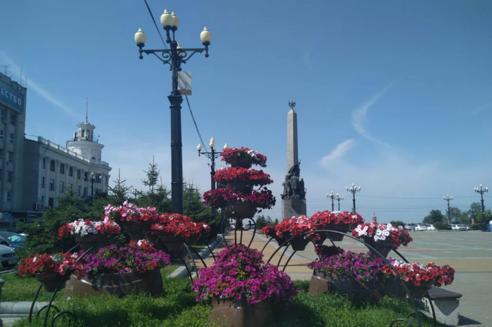 Среди хабаровчан выберут лучшего фотографа