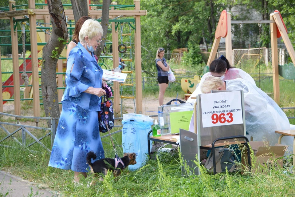 В Твери голосуют и во время прогулок с собачками. Фото: ПТО