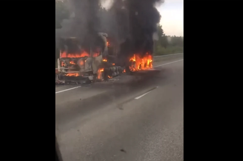 Фото: скриншот с видео