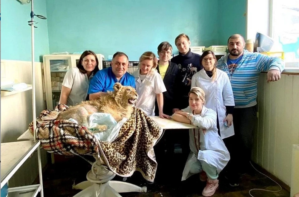 Карен новости