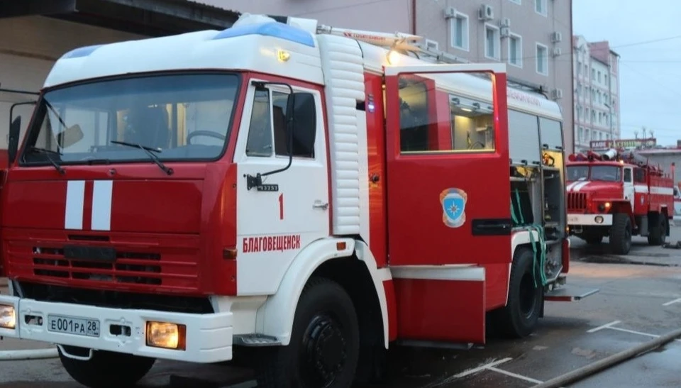 Всего в прошедшем полугодии при пожарах в Приамурье погибли 43 человека. Фото: 28.mchs.gov.ru