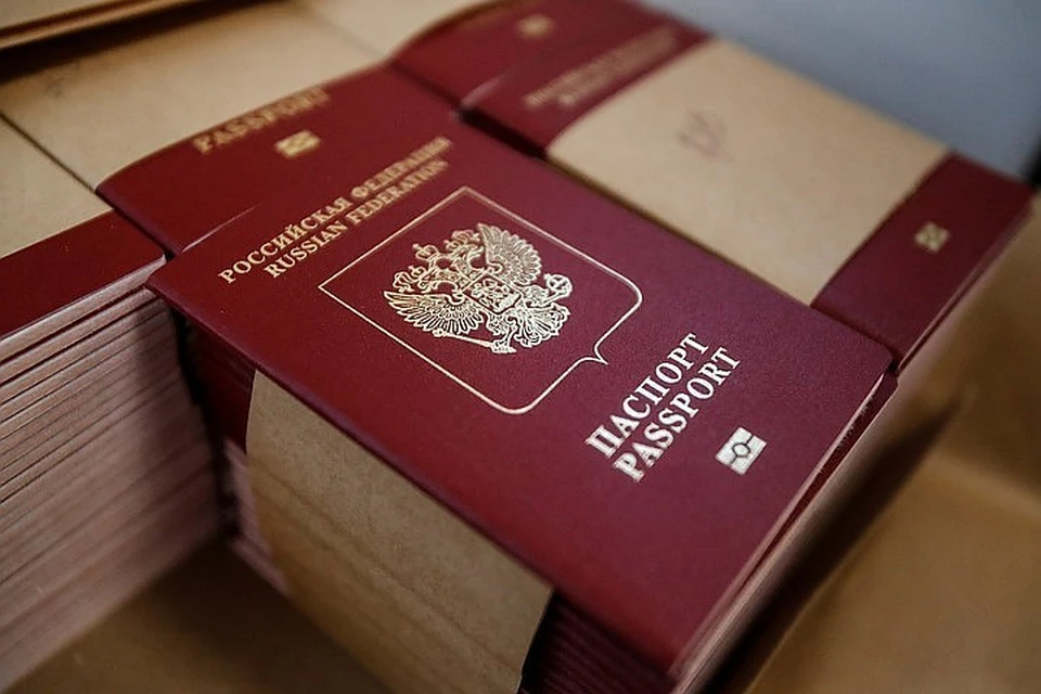 Кабмин поддержал запрет российским послам иметь иностранное гражданство