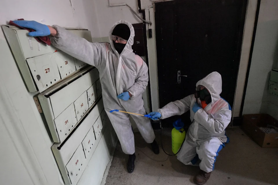 Управляющие компании и муниципальные образования Кировской области продолжают профилактическую обработку мест общего пользования многоквартирных домов.