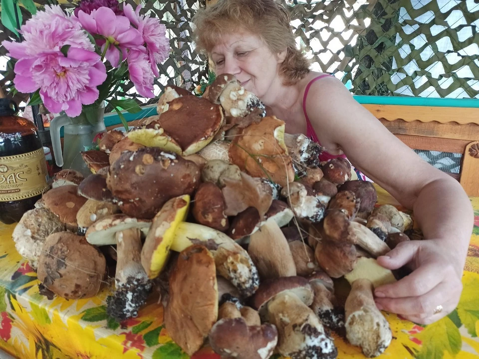 Если рязанцы наткнулись на грибную поляну, то берут все - и маленькие, и большие. Они знают, где в Рязанской области можно собрать много грибов. Фото: издательство "Пресса".