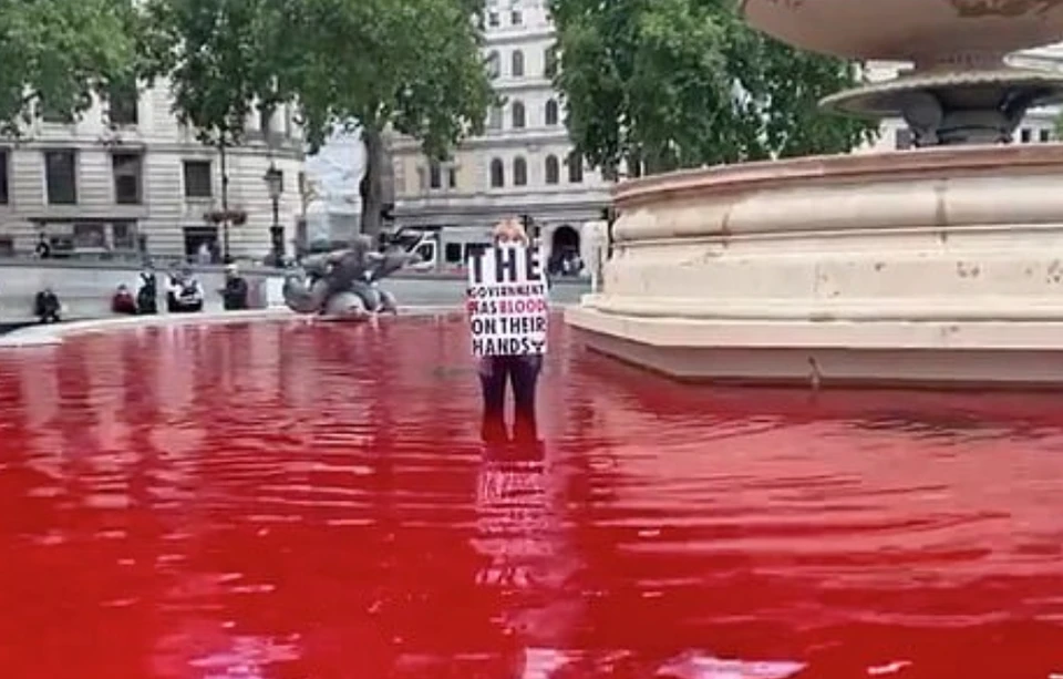 Протестанты вошли в красную воду тем самым призвав правительство принять меры. Фото: @RebeisAnimal