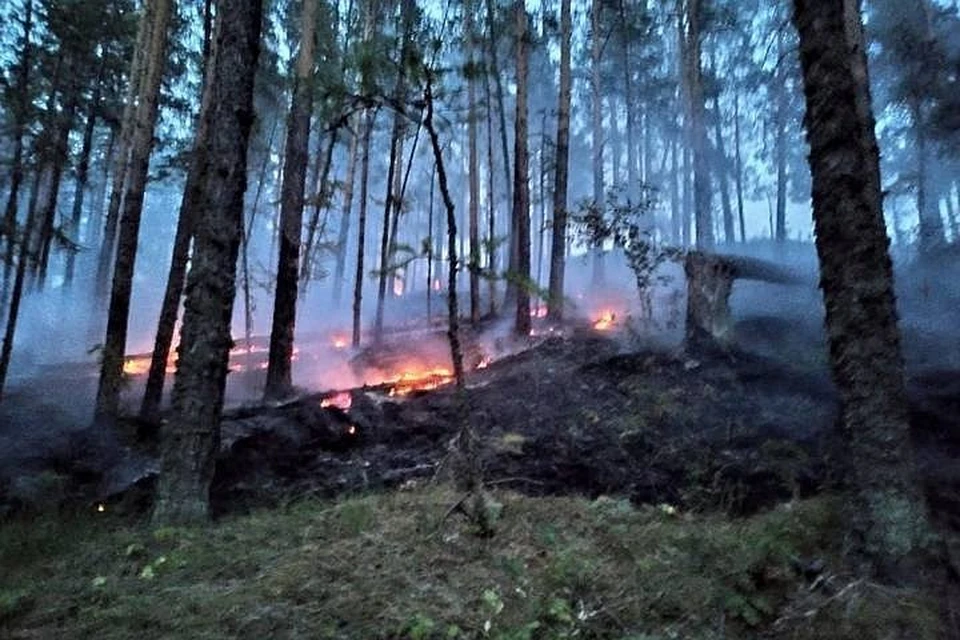 Фото: Газиз Манапов