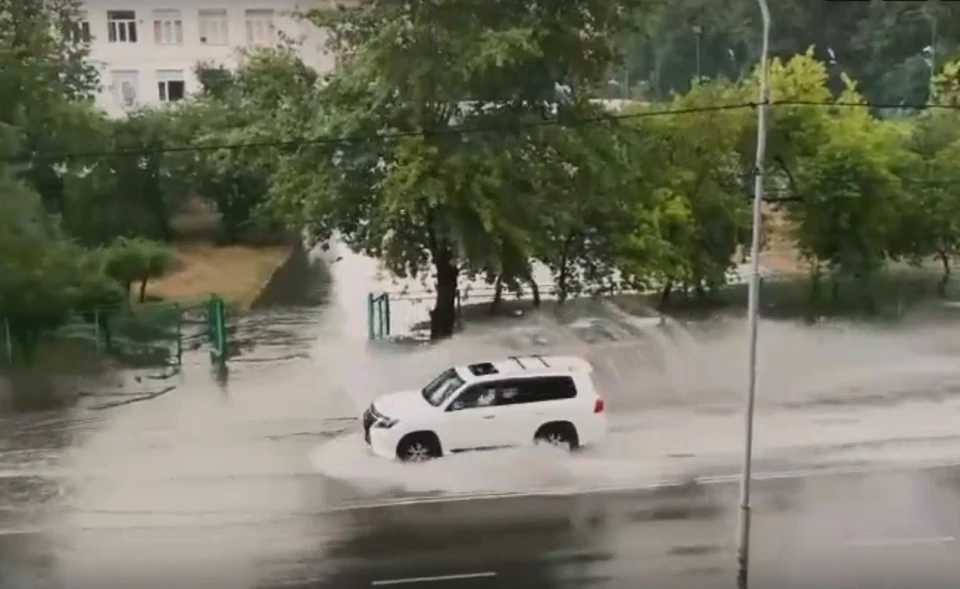 Фото: скриншот видео