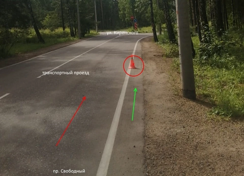 Сбившего женщину на обочине в Академгородке водителя ищут в Красноярске. Фото: ОГИБДД МУ МВД России «Красноярское».