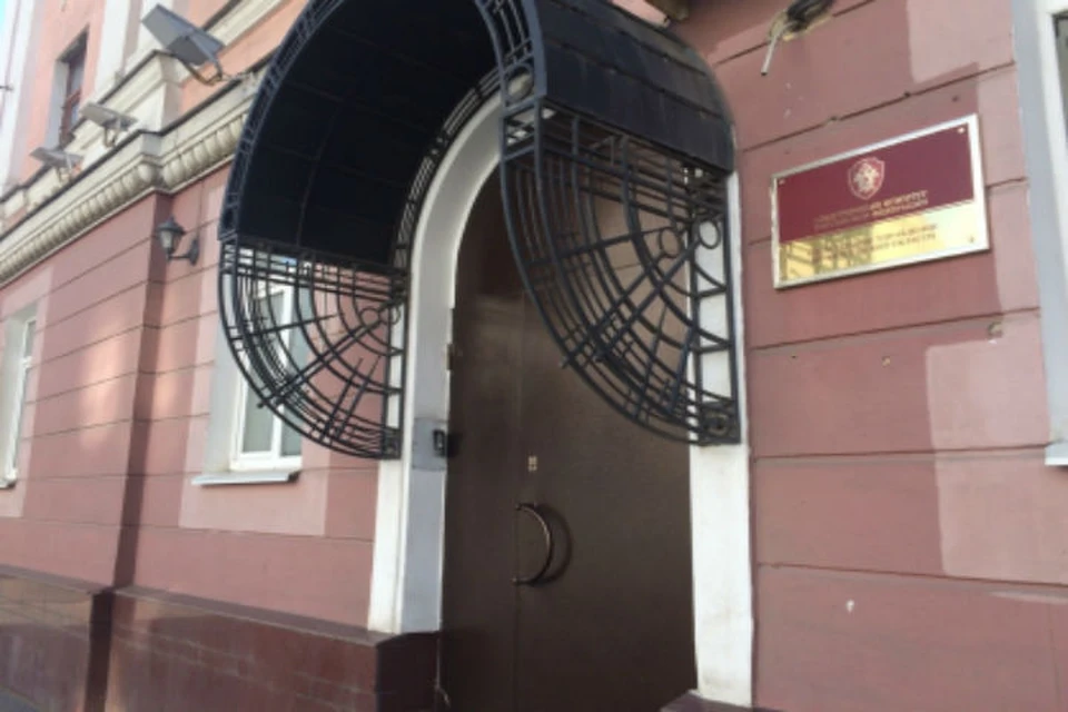 В Ярославле нашли девушку с розовыми волосами