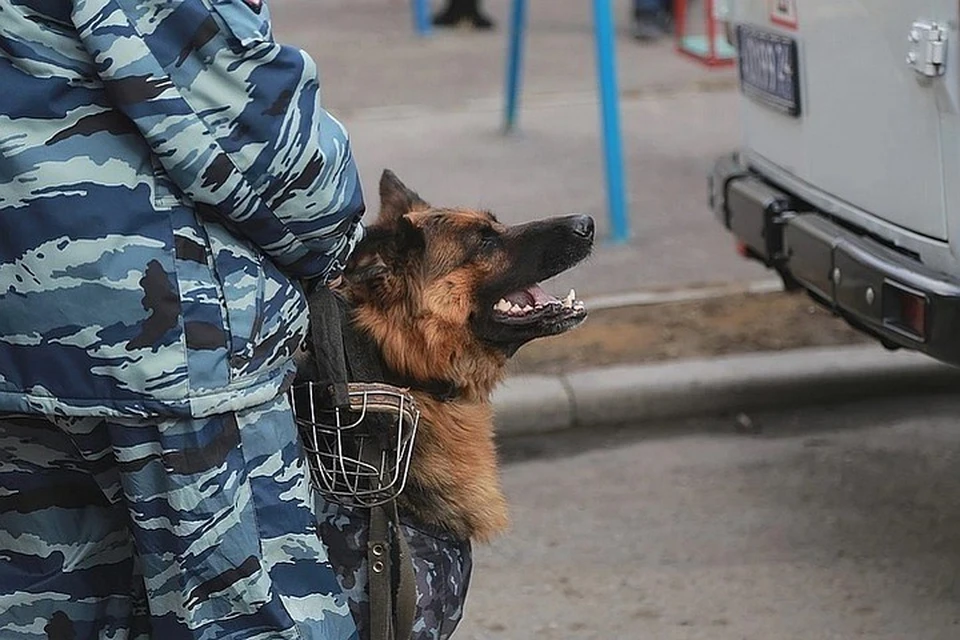 Теперь мужчине грозит до 6 лет тюрьмы.