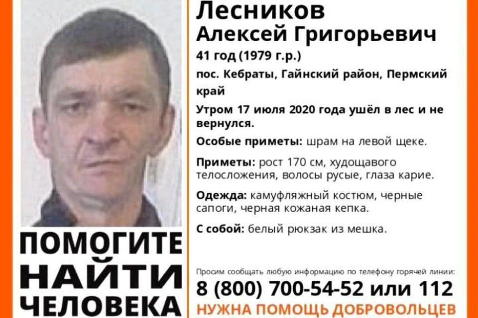 Фото: поисковый отряд "Лиза Алерт".
