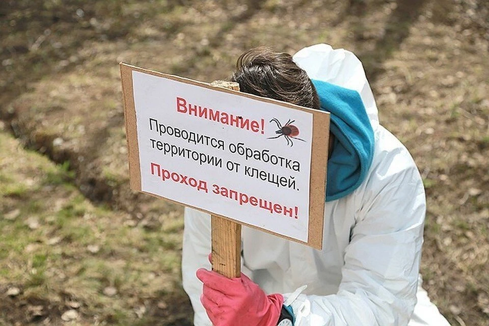 До 3 августа во Владивостоке закрыты для посещения кладбища