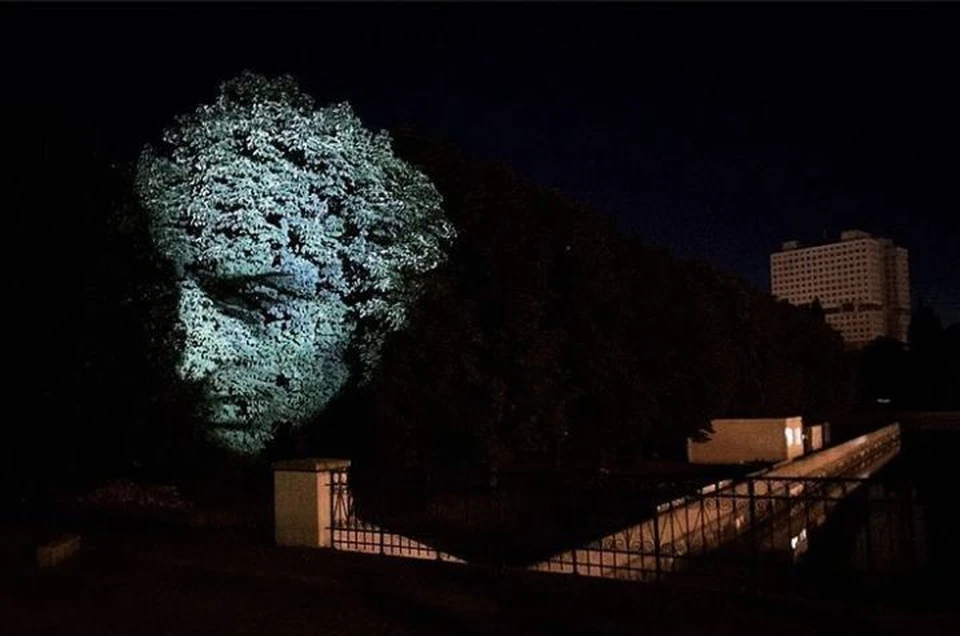 Портрет Канта можно будет увидеть на дереве у Медового моста.