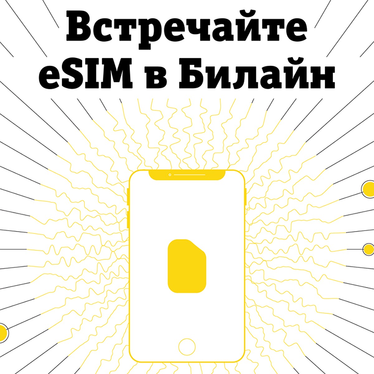 eSIM от Билайн: дистанционное подключение за 5 минут - KP.RU