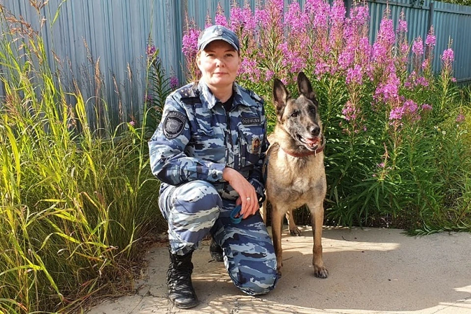 В Новом Уренгое без вести пропавшего мужчину нашла собака Фото: ОМВД России по городу Новому Уренгою
