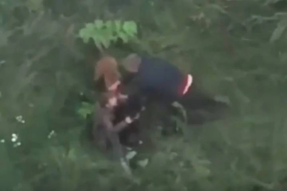 Бойцовая собака жестко задрала пса во время прогулки в Петербурге
