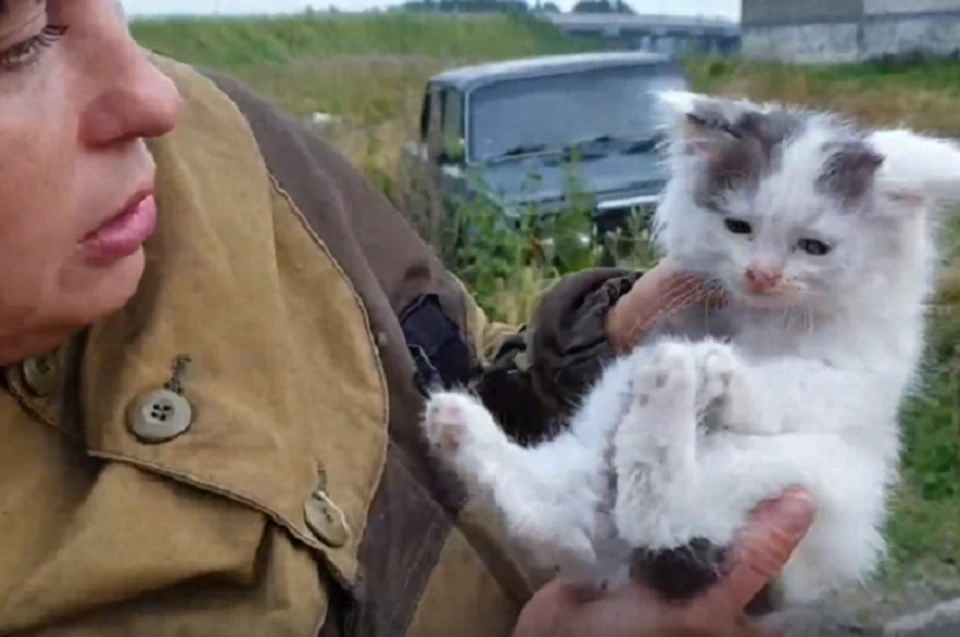 Выжившего котенка взяла себе бабушка одной из девочек. Его назвали Шипа. Фото: скриншот видео
