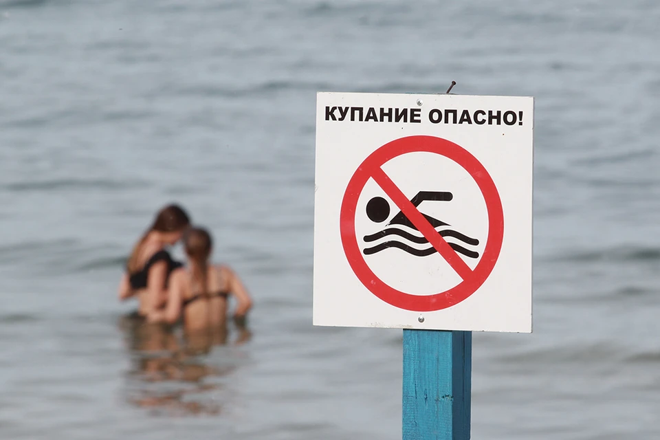 Роспотребнадзор: купаться в Еловском пруду в Ангарске нельзя