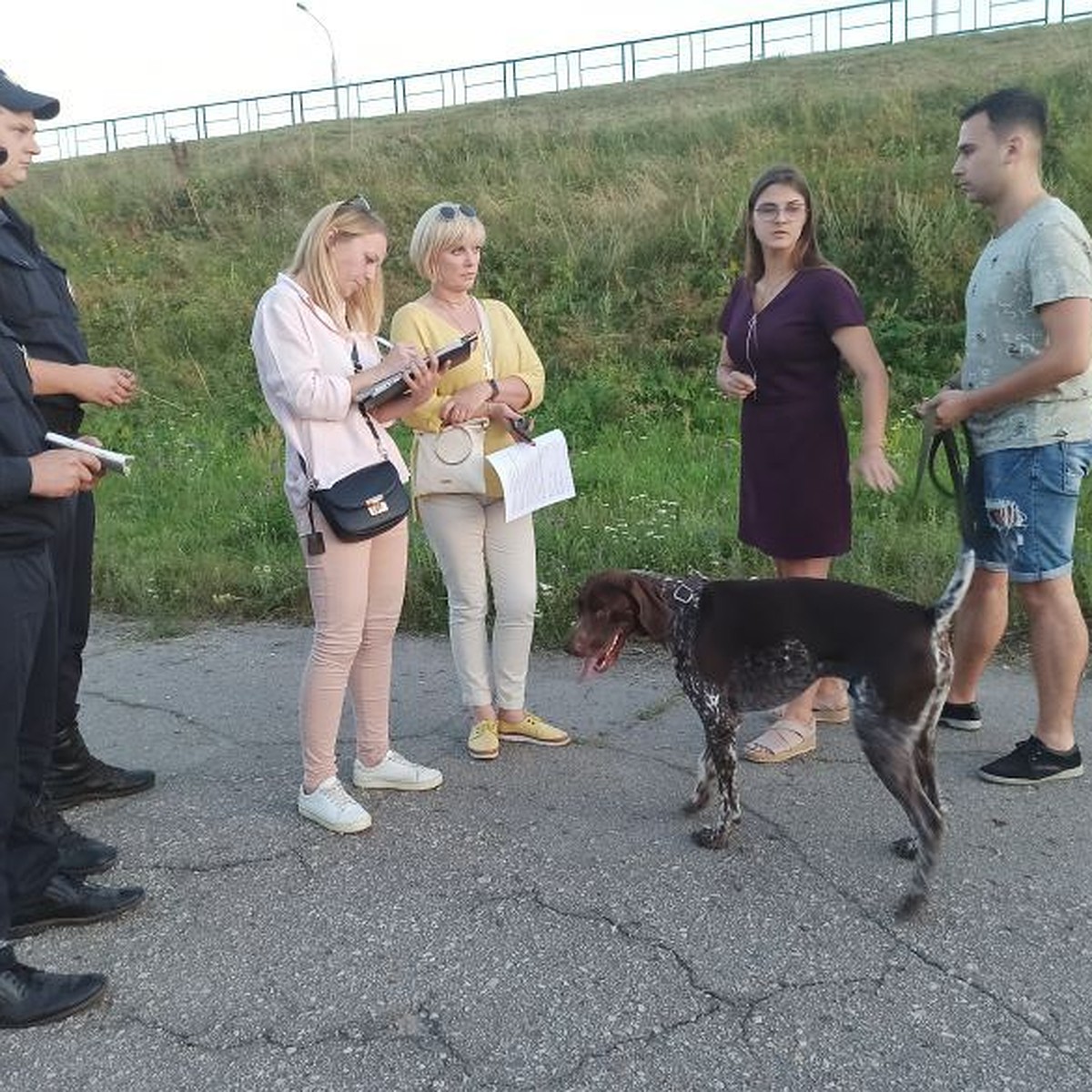 Не надел намордник – заплати штраф: в Калуге прошёл рейд по собакам - KP.RU